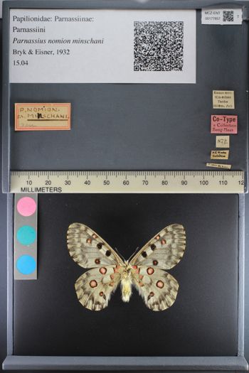 Media type: image;   Entomology 177857